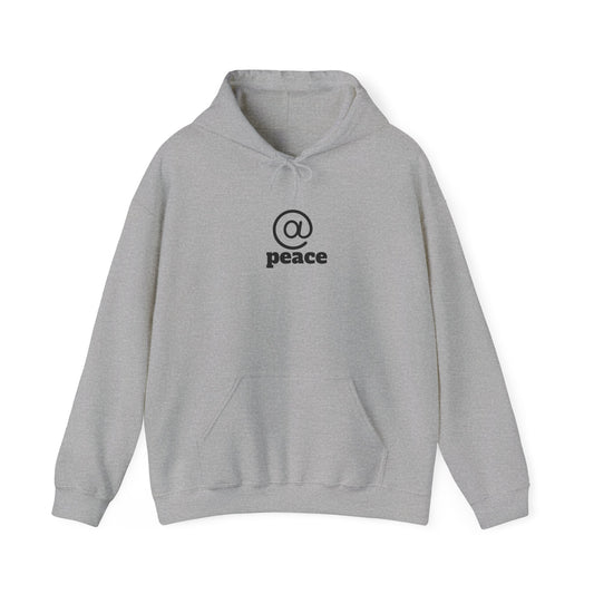 Sweat à capuche en mélange épais